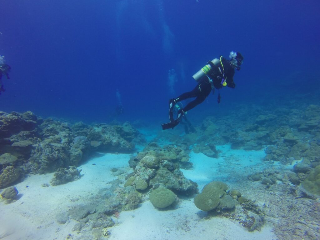 Private Scuba Dive Tenerife - private try dive tenerife - Plongée sous marine privée Tenerife