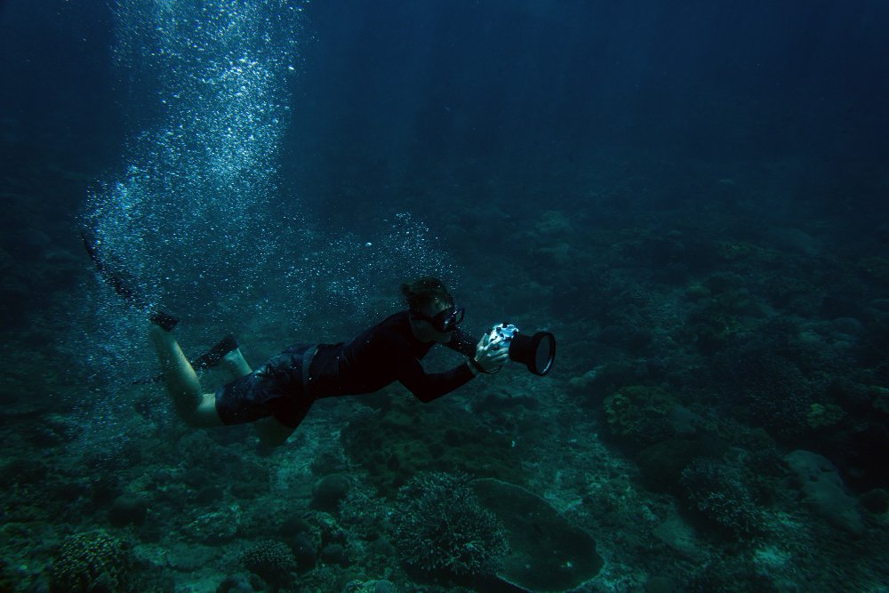 Private Scuba Dive Tenerife - Plongée sous marine privée Tenerife