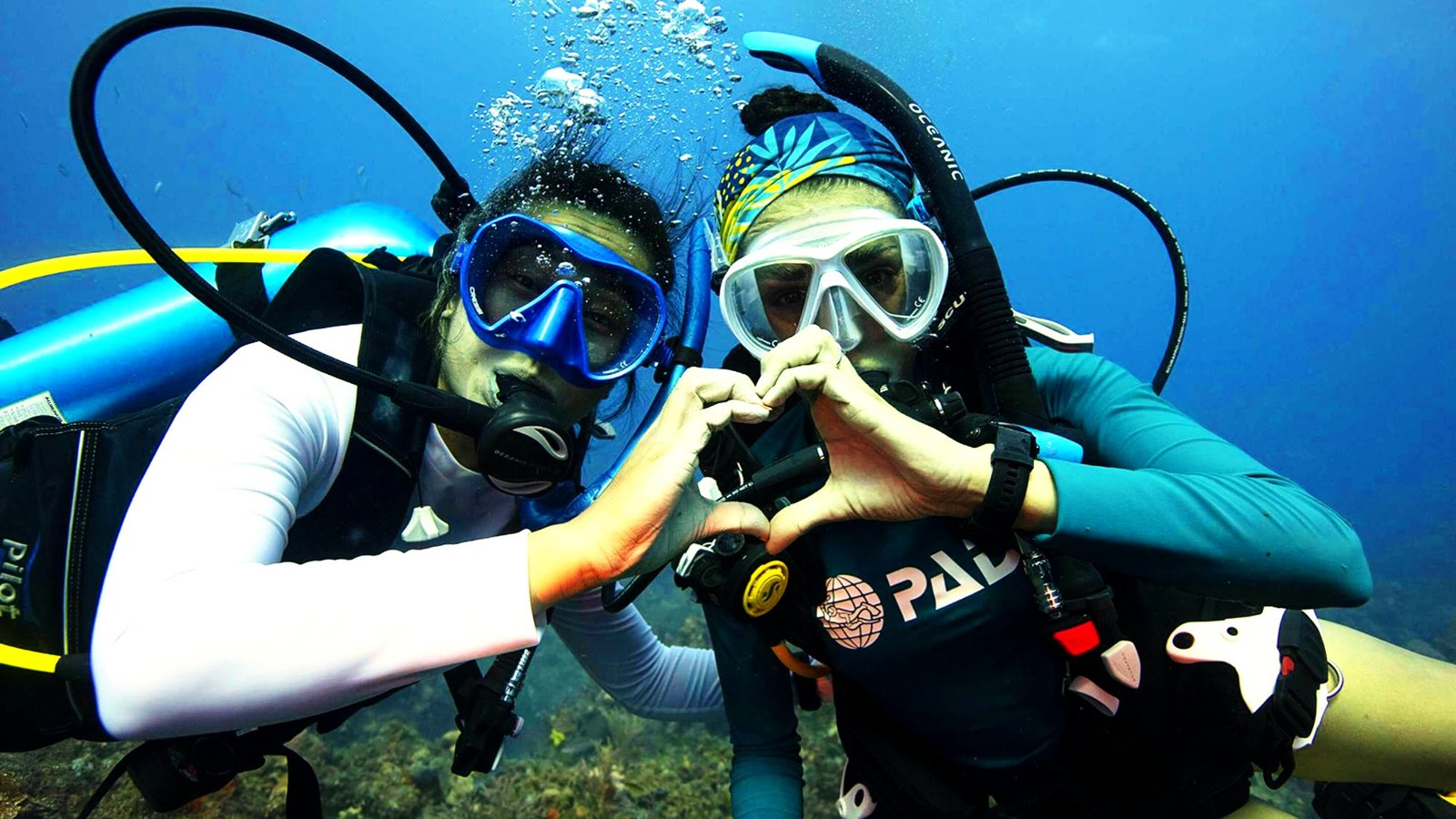 Underwater Experience in Tenerife: What to Expect from a Private Dive